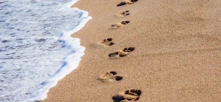 2 Best Quotes for Beach Walks